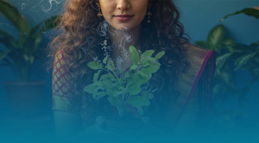 आज हरिशयनी एकादशी, घरघरमा तुलसीको बिरुवा सारिँदै