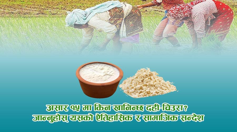 असार १५: राष्ट्रिय धान दिवस र दही–चिउरा पर्वको सांस्कृतिक महत्त्व