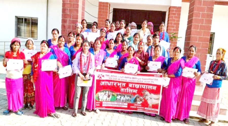 एनआई एसिया लघुवित्तद्वारा विभिन्न शाखामा वित्तीय साक्षरता र तालिम कार्यक्रम सम्पन्न