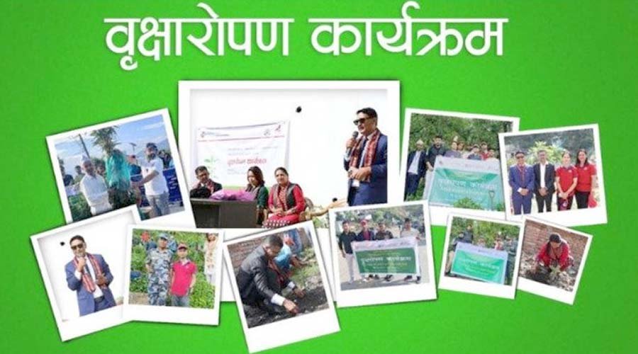 ग्लोबल आइएमई बैंकद्वारा टोखा र दिक्तेल रूपाकोट मझुवागढी नगरपालिकामा बृक्षारोपण
